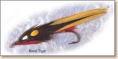 Royal Tiger tied by Carrie Stevens